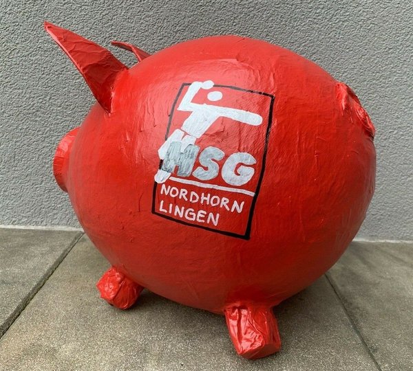 Sparschwein XXL Spendenschwein Handballverein Losbox Spendensau Geldgeschenk Box