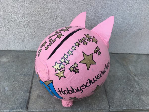 Sparschwein XXL Hobbyschweinchen 101 Geburtstag Geldgeschenk Geschenke Box Kartenbox