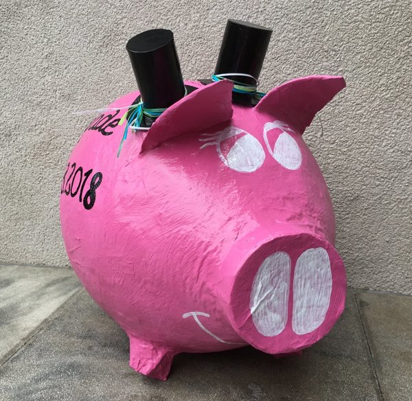 Sparschwein XXL Hochzeitsschwein pink Bräutigam & Bräutigam Upgrade Geldgeschenk Kartenbox